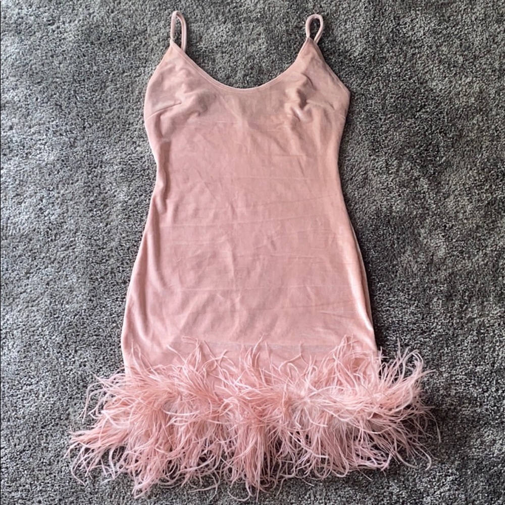 FashionNova Blush Feather Dress